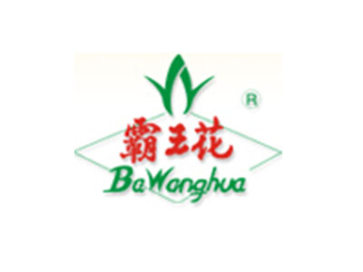 广东霸王花食品有限公司 